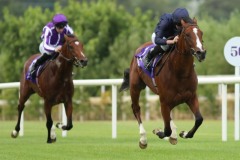 25 July 2019;   ARMORY and Ryan Moore run out convincing victors over stable companion, Toronto, Donnacha O'Brien up, in The Japan Racing Association Tyros Stakes at Leopardstown.      © Peter Mooney, 59 Upper George's Street, Dun Laoghaire, Co. Dublin, Ireland.    Tel:  00 353 (0)86 2589298
