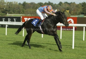 Footstepsinthesand PM00311530.jpg