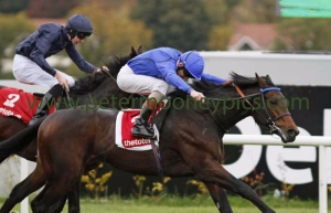 moonlight-magic-251015pml0791