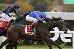 moonlight-magic-251015pml0791 moonlight-magic-251015pml0791