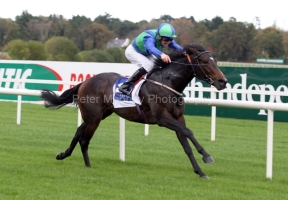 Free Judgement PML 00104134.JPG