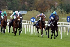 Free Judgement PML 00104121.JPG