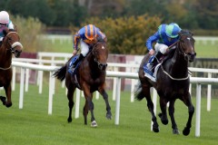 Free Judgement PML 00104129.JPG