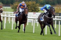 Free Judgement PML 00104130.JPG