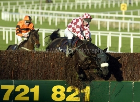 Mariah Rollins PM00313238.jpg