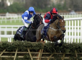 Won In The Dark PML 0056827.JPG