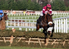 Carlito Brigante PML 00106676.JPG