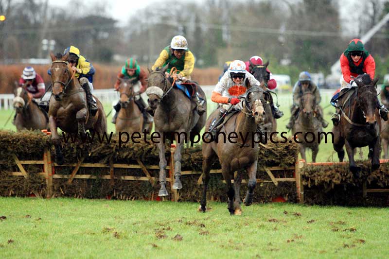 abbey-lane-pml-00116990