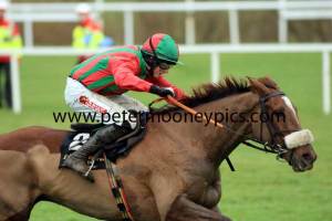 benefficient-pml-00116844