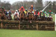boylesports.com-hurdle-pml-00116981