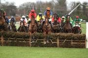 boylesports.com-hurdle-pml-00116982