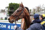 abbey-lane-pml-00116998