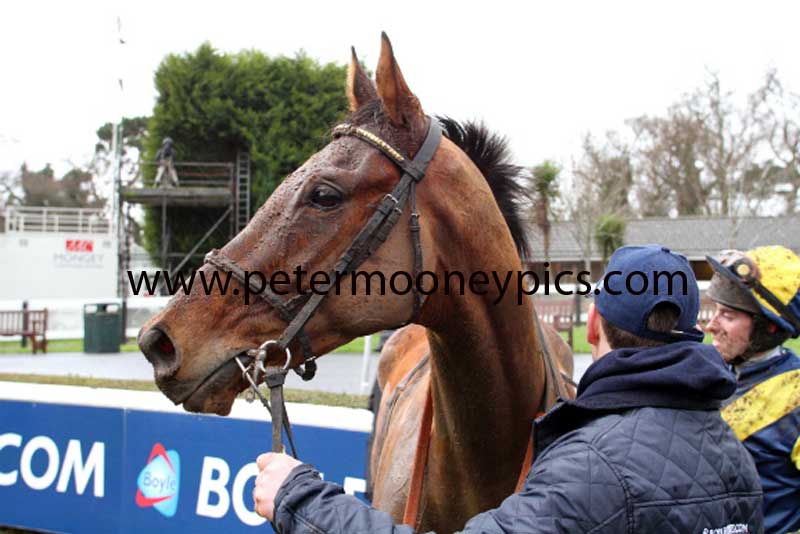 abbey-lane-pml-00116998
