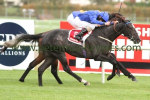 parish-boy-261014pml0666 parish-boy-261014pml0666