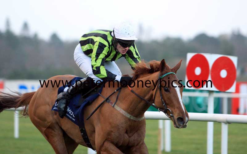 moyle-park-pml-00114738