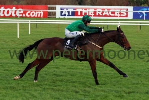 footpad-261217pml0326