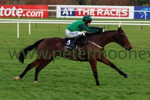 footpad-261217pml0326 footpad-261217pml0326