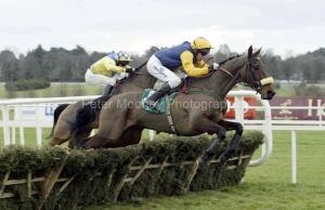 Mr Nosie PMOO334499.jpg