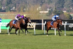 Best Hello PML 00149996