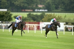 Famous Name PML 00128599.JPG