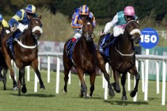 Casual PML 0080279.JPG