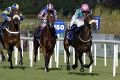 Casual PML 0080282.JPG