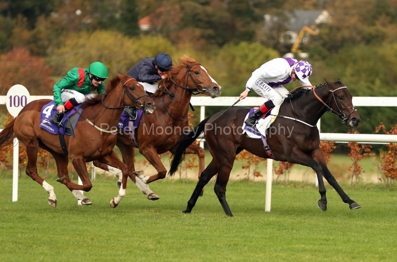 27 October 2018;    GUARANTEED, Kevin Manning up, check cap, holds the challenge of Masaff, Declan McDonogh up, to land The tote.com Eyrefield Stakes at Leopardstown.      © Peter Mooney, 59 Upper George's Street, Dun Laoghaire, Co. Dublin, Ireland.    Tel:  00 353 (0)86 2589298