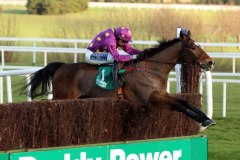 Big Zeb PML 0083172.JPG