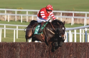 Golden Silver PML 00107041.JPG