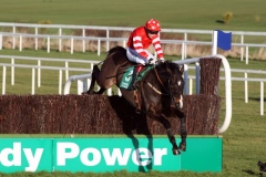 Golden Silver PML 00107042.JPG