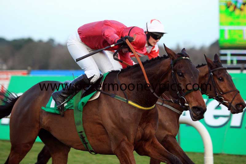 mullaghanoe-r-pml-00115277