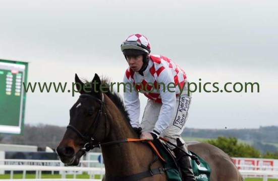flemenstar-271215pml0380
