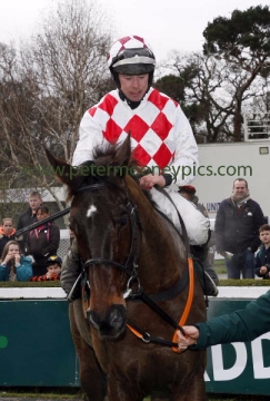 flemenstar-271215pml0418