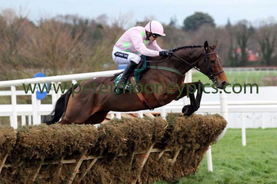 long-dog-271215pml0432
