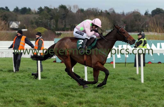 long-dog-271215pml0453