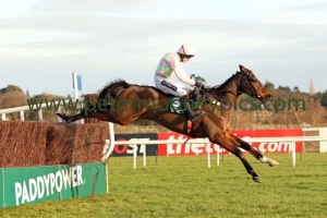 douvan-261216pml0389 douvan-261216pml0389