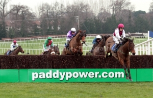 Seabass-PML 00175652