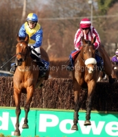 Stewarts House PML 00110562.JPG