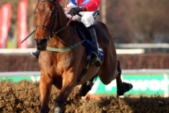 Cadspeed PML 00110556.JPG