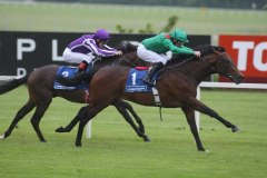 Arazan PML 0070032.JPG