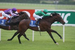 Arazan PML 0070036.JPG