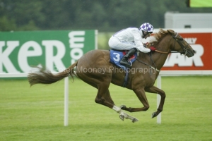 New Approach PML 0044144