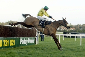 Beef Or Salmon PM00313557.jpg