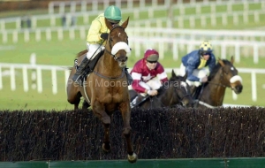 Beef Or Salmon PMOO334643.jpg