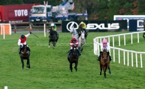 Exotic Dancer PML 0083676.JPG