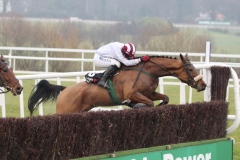 Pandorama PML 00107423.JPG