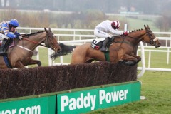 Pandorama PML 00107424.JPG