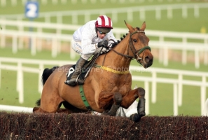 Pandorama-PMLOO140910