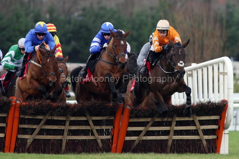 28 December 2019;  The Tote Supporting Leopardstown Maiden Hurdle at Leopardstown.      © Peter Mooney, 59 Upper George's Street, Dun Laoghaire, Co. Dublin A96 H2R3, Ireland.    Tel:  00 353 (0)86 2589298