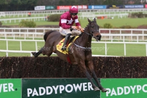 Conflated 281222PML0470.jpg